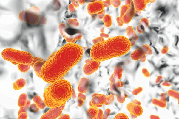 Ilustração de bactéria Acinetobacter baumannii - Metrópoles