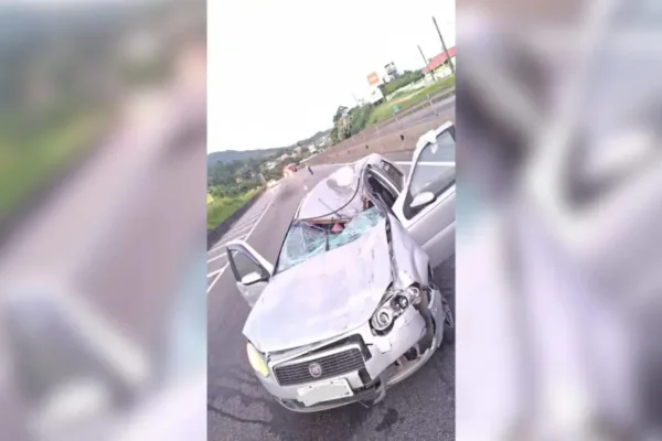 Imagem colorida,carro-fica-destruido-apos-colisao-com-cavalo- Metrópoles