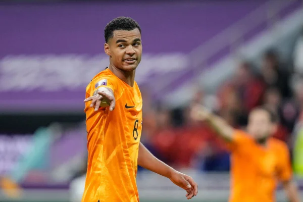 gakpo holanda eua