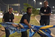 TRE-DF apreende 1,1 mil itens de propaganda irregular no segundo turno - imagem 3