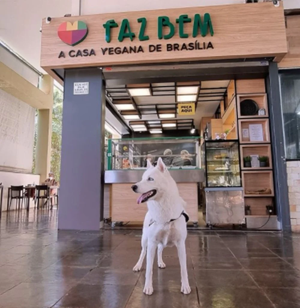 O Bar de vegetais é pet-friendly O Bar de vegetais é pet-friendly
