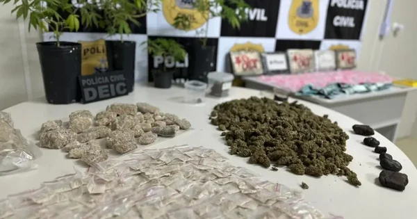 Imagem colorida de carregamento de drogas apreendidas pela Polícia Civil da Bahia - Metrópoles