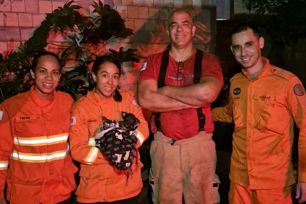 Bombeiros - Metrópoles