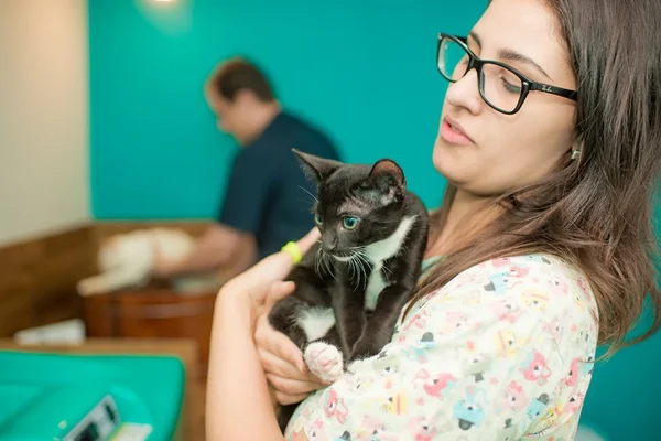 Estresse em pets: veterinária dá 6 dicas para lidar com o problema