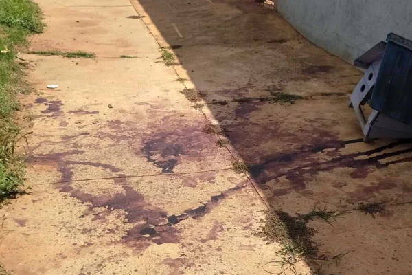Imagem colorida, quintal da casa com sangue - Metrópoles