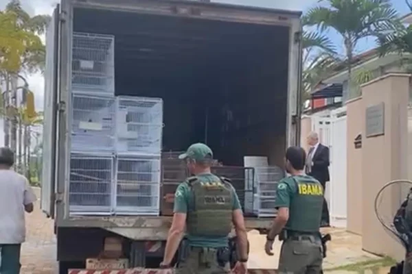 Ibama apreende aves raras de Anderson Torres