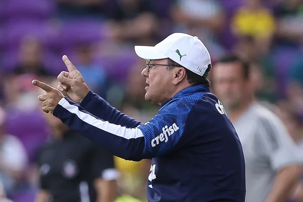 Luxemburgo elogia time em negociação salarial: “Palmeiras é vanguarda”