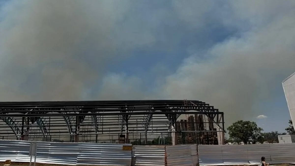 Incêndio em vegetação próxima à UnB no Gama mobiliza bombeiros do DF
