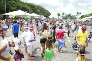 Foliões tomam as ruas de Brasília no segundo dia de carnaval - imagem 2 Foliões tomam as ruas de Brasília no segundo dia de carnaval - imagem 2