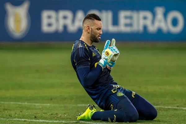 Goleiro Weverton no Palmeiras