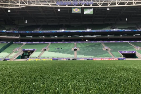 Palmeiras: jogadores matam curiosidade no 1º treino no sintético
