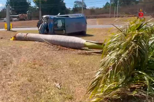 Carro tombado e palmeira derrubada