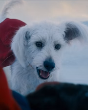 Krypto
