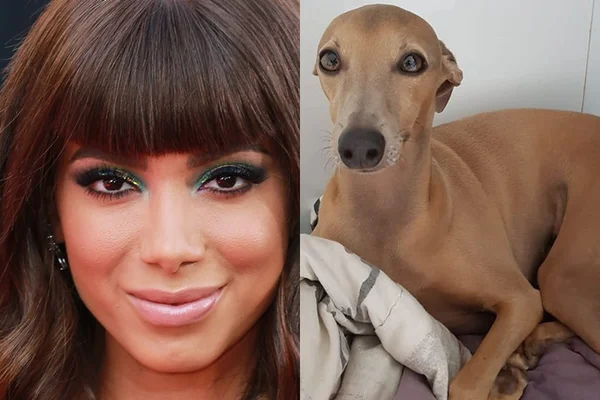 Cachorro de Anitta sofre ameaças de morte na web