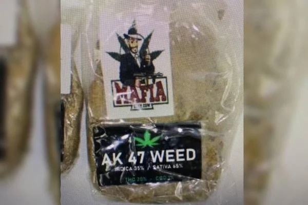 “Sereia do haxixe” é preso quando vendia droga em parque do DF