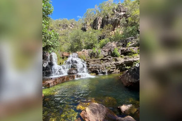 Criança atacada por onça na Chapada dos Veadeiros foi ferida no rosto