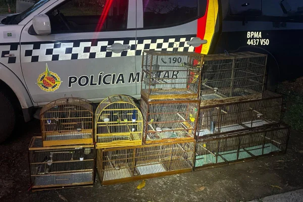 Foto colorida de viatura da polícia com gaiolas cheias de aves