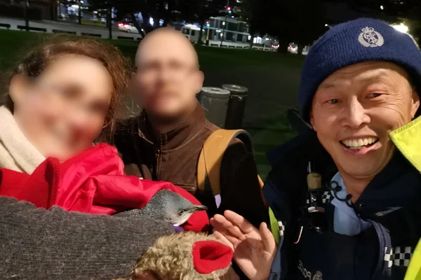 Pinguins são detidos após “invasão” a restaurante de sushi, de novo