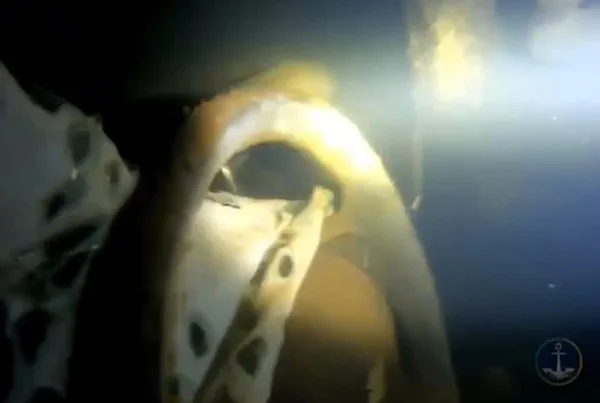 Foto colorida de volante de carro submerso - Metrópoles