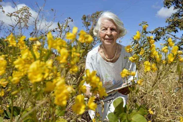 Artista lituana Therese von Behr morre aos 94 anos em Brasília