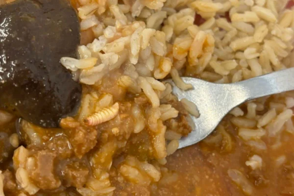 Alunos denunciam larva na comida e desabastecimento em bandejão da USP