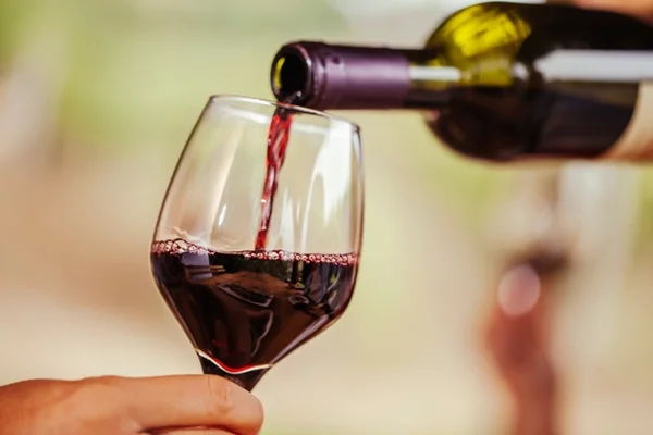 Dia do Vinho: sommelier seleciona os melhores rótulos nacionais