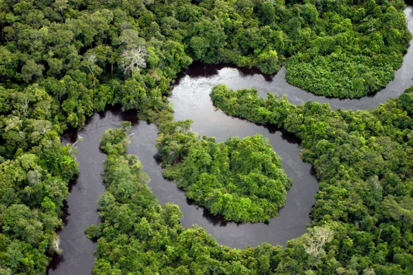 Foto colorida de rio na Amazônia - Metrópoles