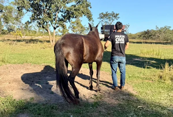 Agente da PCMG com a égua