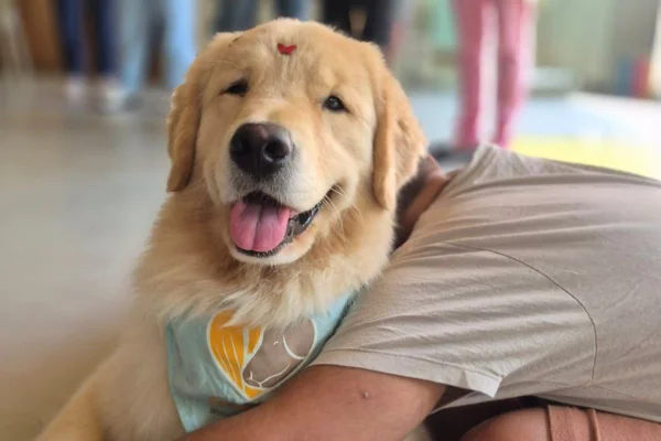 Imagem colorida de garoto abraçando golden retriever