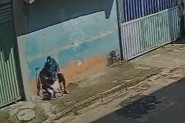 homem abusa de cadela em Samambaia