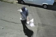 Vizinho que atirou em mulher