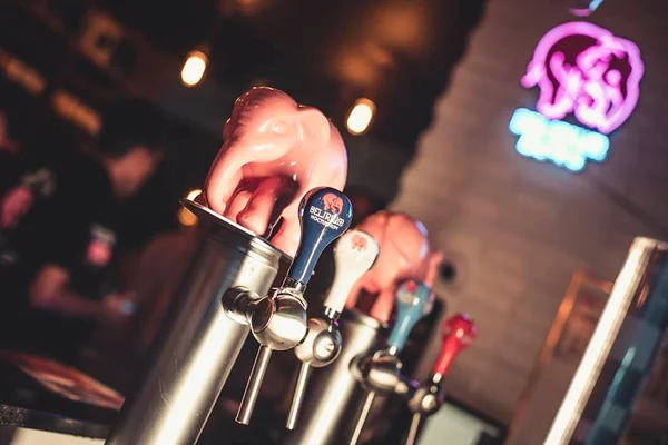 Delirium Café Brasília: conhecemos o bar cervejeiro do elefante rosa