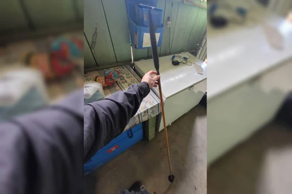 flecha indígena