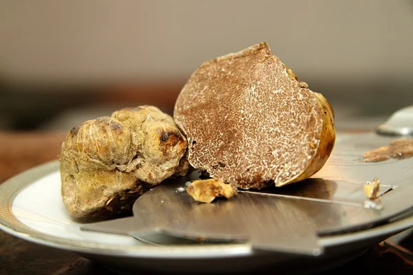 Artigo: o que são aqueles produtos caros da gastronomia