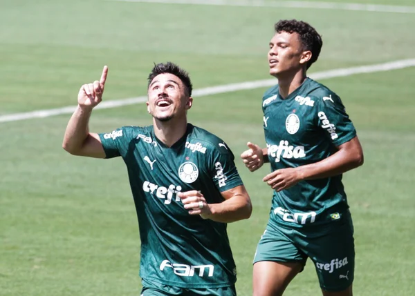 Palmeiras x Ceará: onde assistir, horário e escalações