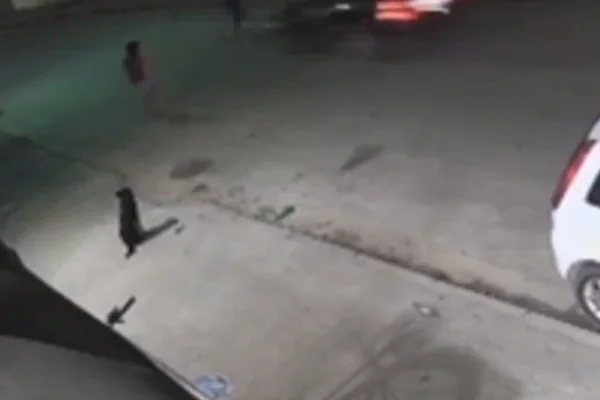 Imagem colorida de um menino sendo atropelado por um carro ao tentar pegar bola na rua - Metrópoles