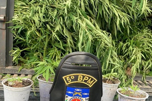 Pastor é preso suspeito de cultivar maconha nos fundos de igreja em Maceió