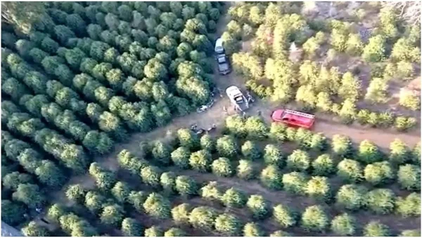 Desaparecimento de bebê de 1 ano em cafezal mobiliza autoridades em MG