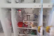 Além dos equipamentos queimados, a moradora perdeu os mantimentos armazenados na geladeira e os insumos utilizados no trabalho de hamburgueria artesanal devido ao tempo prolongado sem refrigeração Além dos equipamentos queimados, a moradora perdeu os mantimentos armazenados na geladeira e os insumos utilizados no trabalho de hamburgueria artesanal devido ao tempo prolongado sem refrigeração