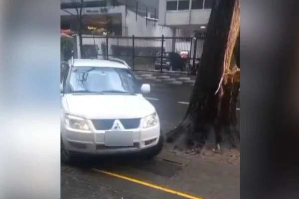Imagem colorida mostra carro passando por calçada após queda de árvore na Alameda Santos - Metrópoles
