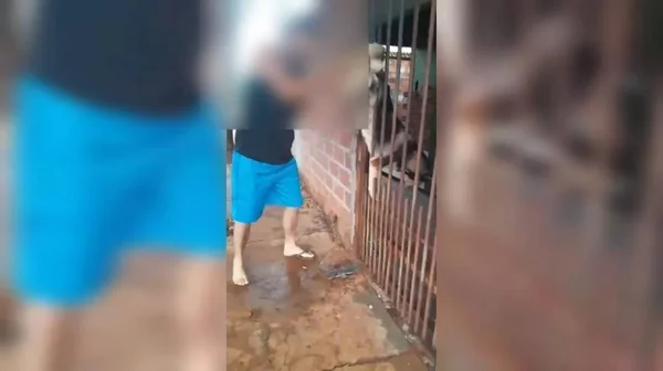 imagem colorida servidor preso chineladas cachorro goias