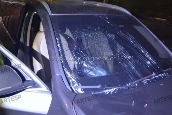 Imagem colorida mostra BMW danificada após motorista atropelar pedestre
