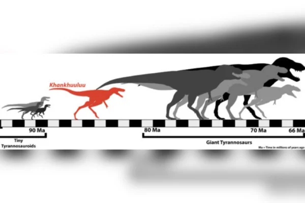 Ilustração colorida de evolução dos tiranossauros - Metrópoles