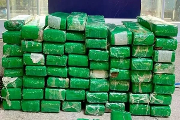 Imagem colorida de pacotes de maconha apreendidos - Metrópoles