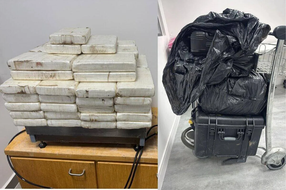 Droga estava em bagagem de homem que iria embarcar para a África do Sul Droga estava em bagagem de homem que iria embarcar para a África do Sul