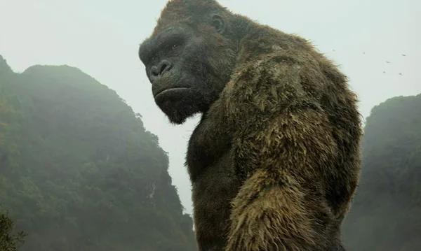 “Logan” e “Kong” puxam as bilheterias do Brasil para cima