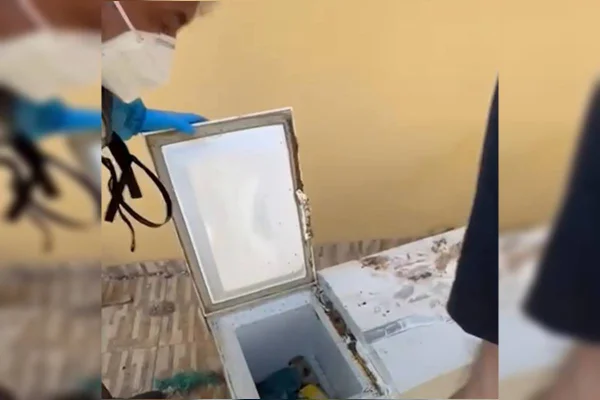 Corpo de mulher é encontrado em freezer; filho é o principal suspeito