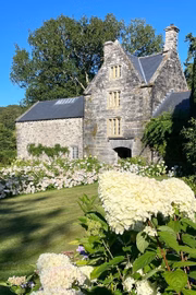 Jardim florido