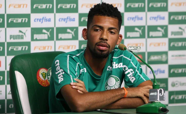 Matheus Fernandes
