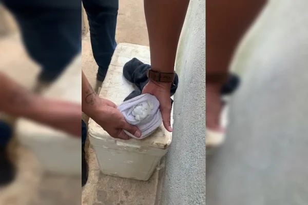 PCDF prende traficante com 345 porções de cocaína. Veja imagens da ação